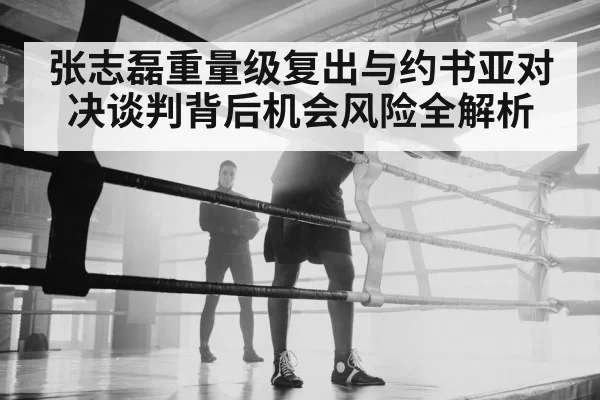 张志磊重量级复出与约书亚对决谈判背后机会风险全解析 - RAYBET